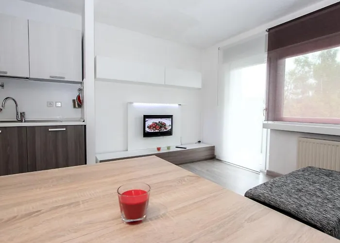 Am Birkenhain-30 By Interhome 公寓